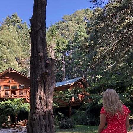 Chudleigh Park Cottages Sassafras Dış mekan fotoğraf