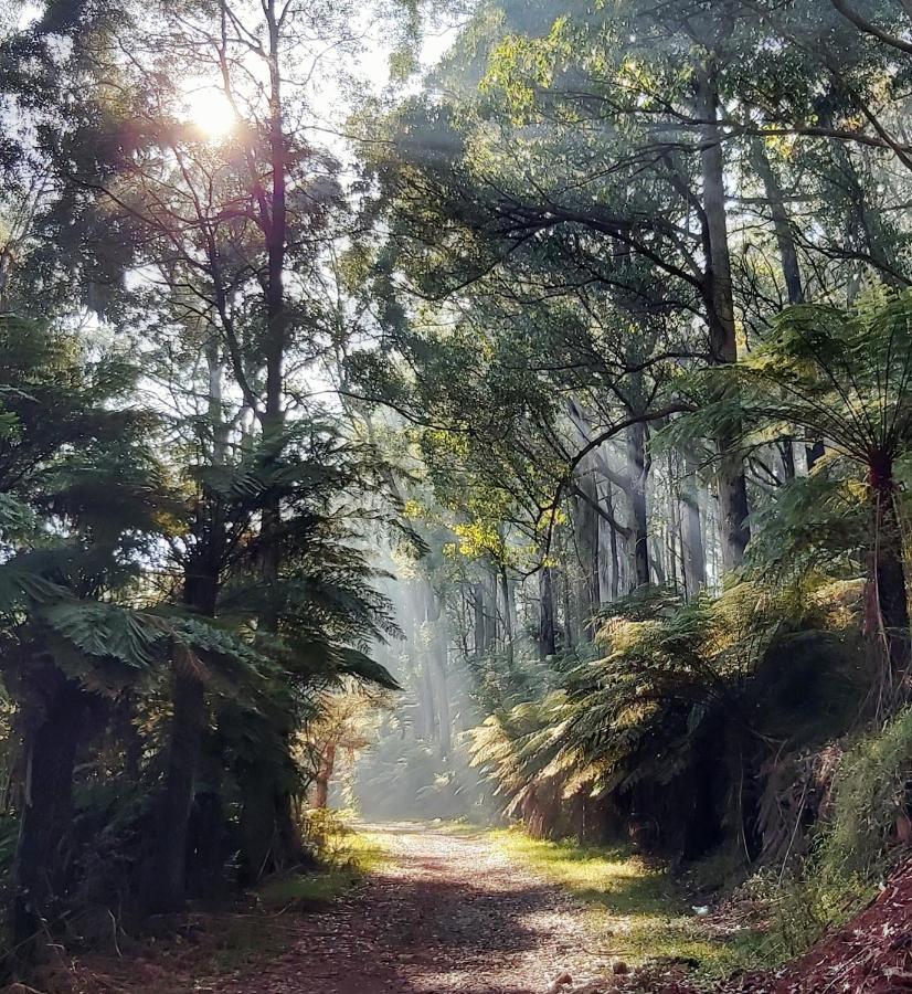 Chudleigh Park Cottages Sassafras Dış mekan fotoğraf
