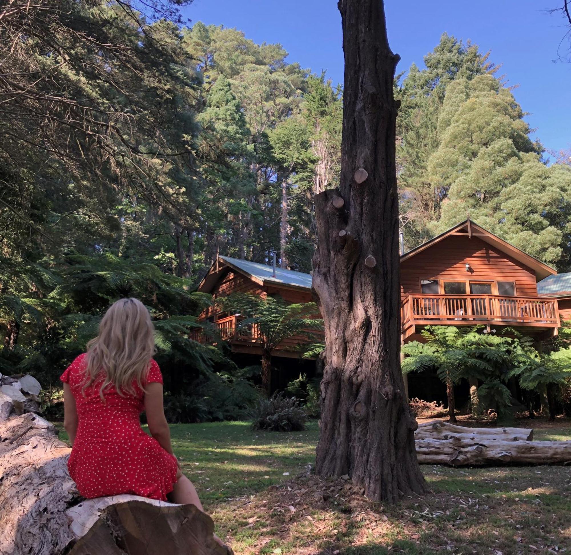 Chudleigh Park Cottages Sassafras Dış mekan fotoğraf
